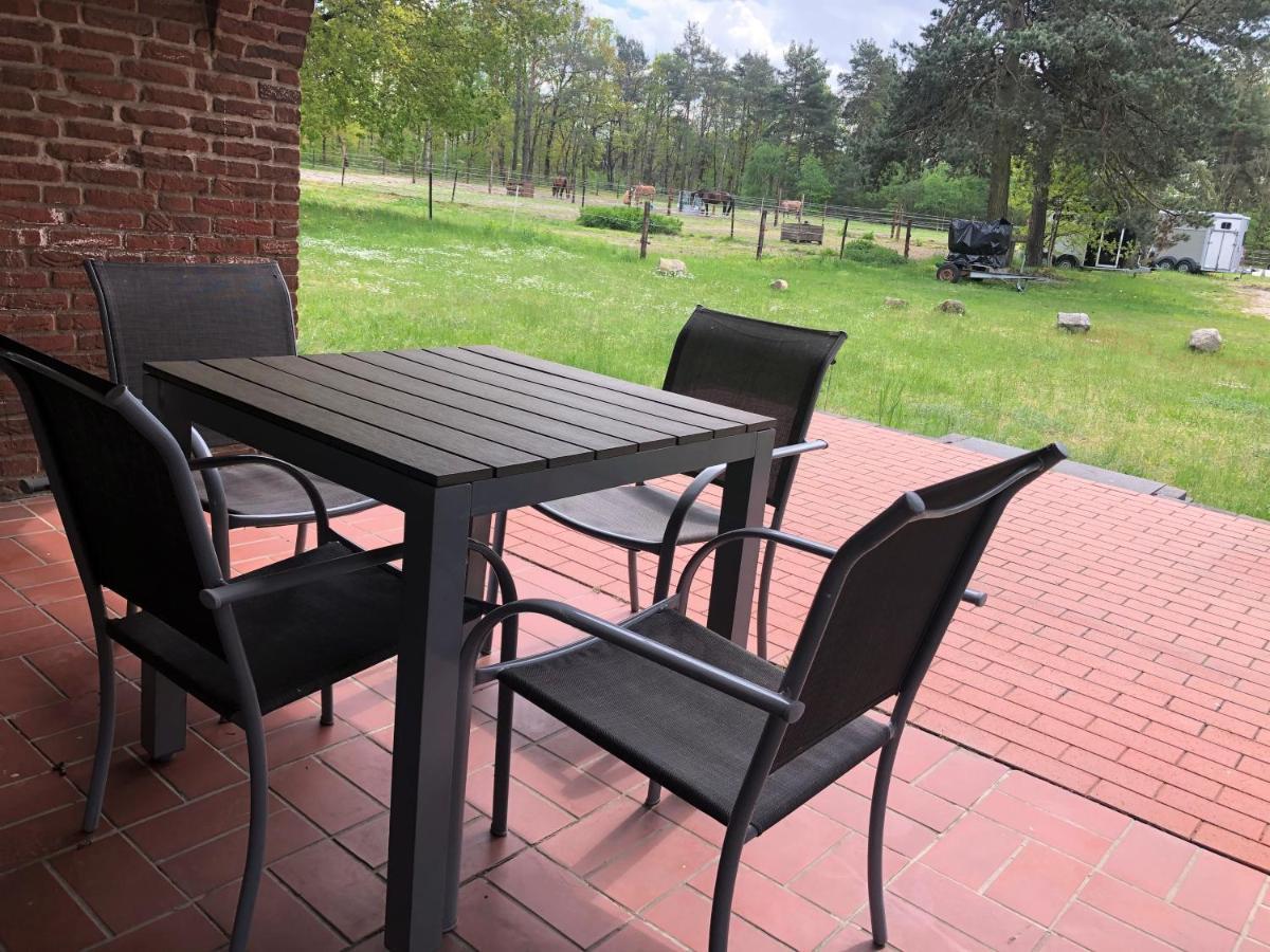 Sassenburg Bernsteinsee Ferienwohnungen Und Apartments المظهر الخارجي الصورة